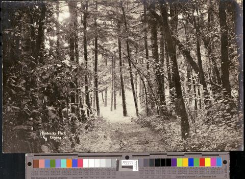 Hendricks Park, Eugene, Oregon., c. 1910 [b001] [016] show page link