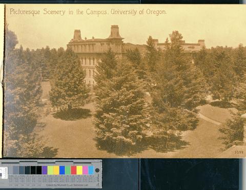 Picturesque Scenery in the Campus, University of Oregon, c. 1920s [b001] [001] [copy] [004] show page link